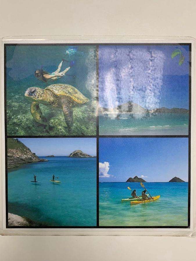 דירות Ap Espetacular Vista Mar Prainha Em אריאל דו קאבו מראה חיצוני תמונה